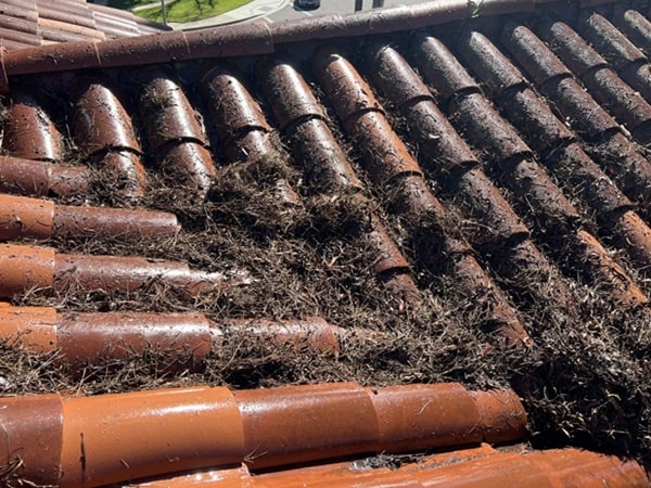 roof restoration service melbourne before -3 roof restoration Melbourne